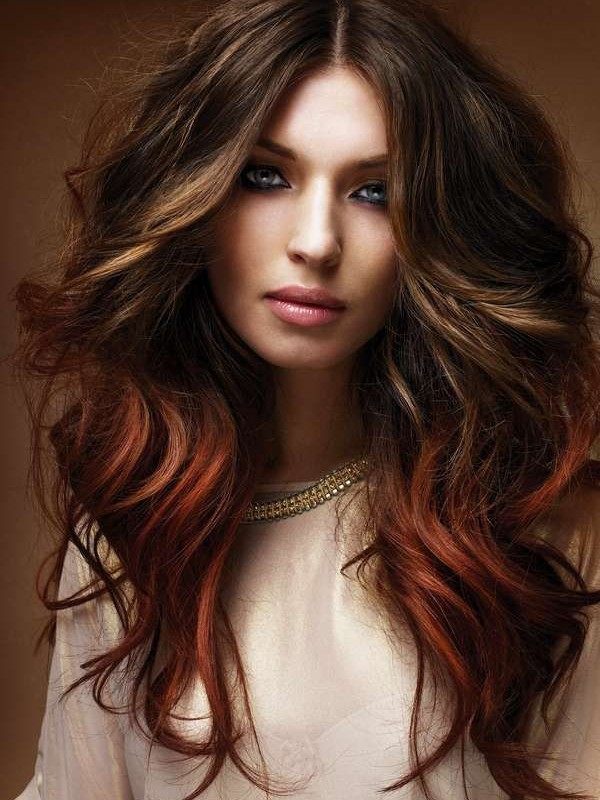Indian Remy Brown To Red Ombre Clip In Beautiful Hair Extensions VGE11022